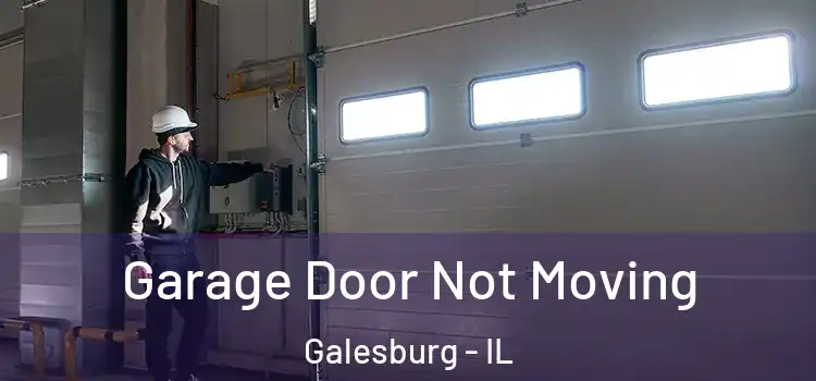  Garage Door Not Moving Galesburg - IL