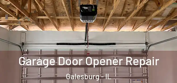  Garage Door Opener Repair Galesburg - IL