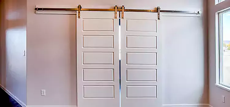 Glass Barn Door with Installation Hardware Kit Galesburg