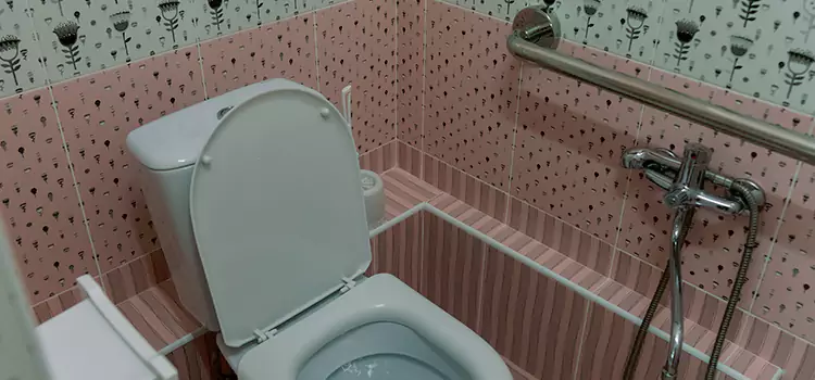 Meeting Diverse Needs With Accessible Restroom Solutions in Galesburg, IL