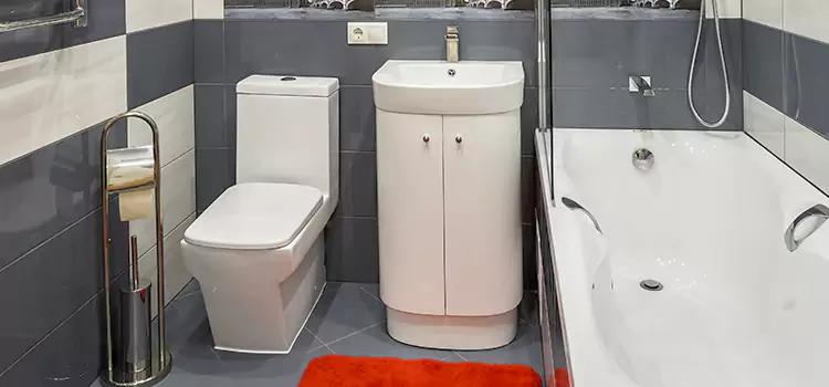 Hansgrohe Shaving Mirror Galesburg