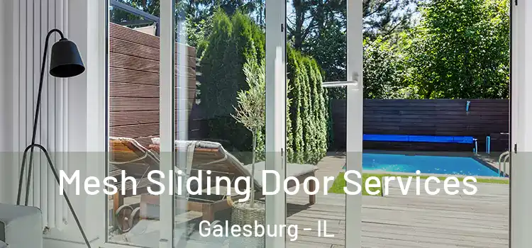 Mesh Sliding Door Services Galesburg - IL