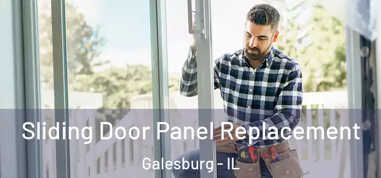  Sliding Door Panel Replacement Galesburg - IL